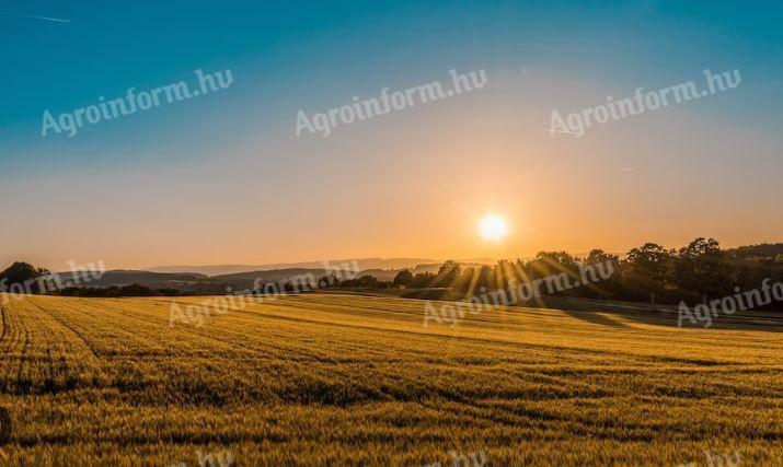 Hľadáme pozemok na dlhodobý prenájom