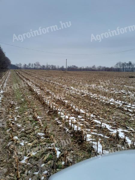 5 ha gruntów ornych na sprzedaż w Nyíregyháza