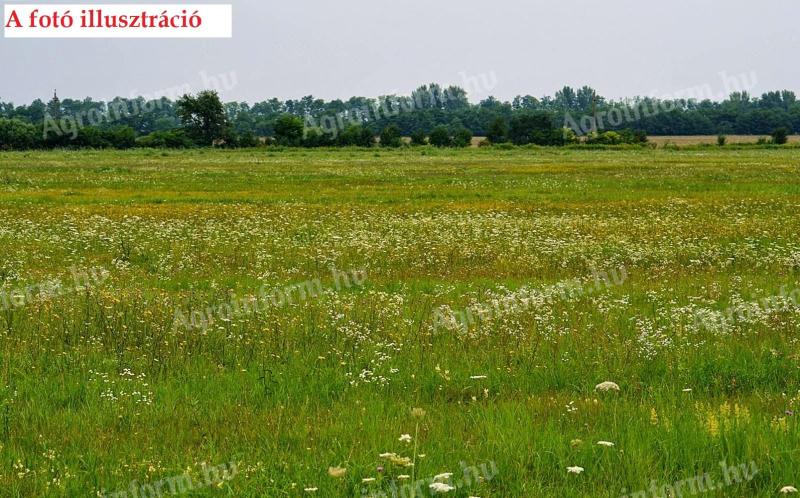 1 Hektar große Wiese zum Verkauf in Markotabödög, in einer sehr schönen Gegend