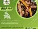 Középérésű kukorica vetőmag (FAO 350)