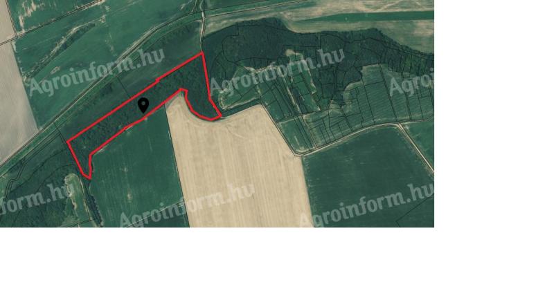 4 hektarji gozdnih površin za prodajo v Tésenyju