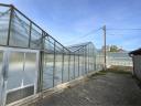 Glasshouse in several sizes: 300-400-500-600 m2