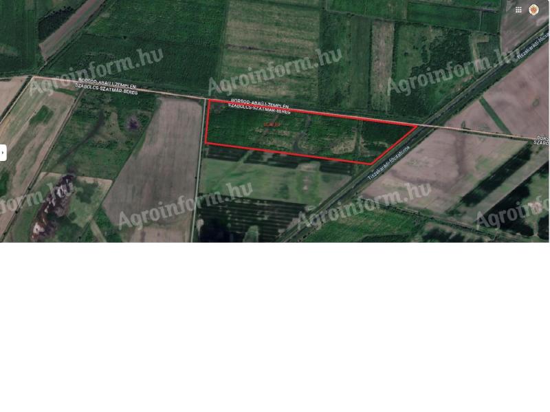 Výborné pro investici 18+6 ha dubového a 1,6 ha ostatního lesa na prodej, možná výměna