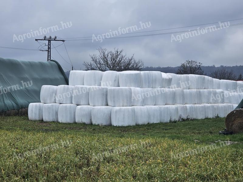 Lucernas bale