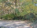 175 hectares of 25-year-old forest, primarily consisting of oak and poplar