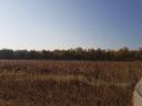 175 hectares of 25-year-old forest, primarily consisting of oak and poplar