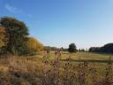 175 hectares of 25-year-old forest, primarily consisting of oak and poplar