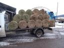 Hay, straw, alfalfa mini round bales for sale