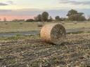 Packaged alfalfa, grass hay for sale