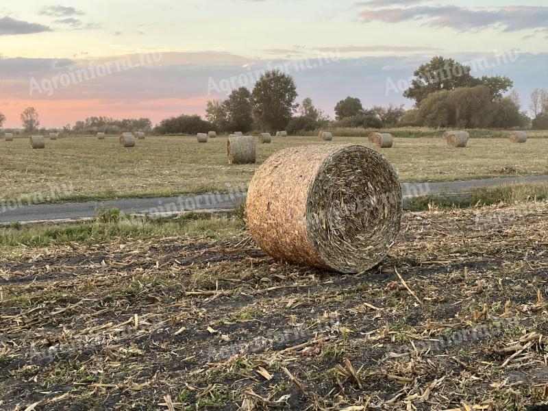 Packaged alfalfa, grass hay for sale