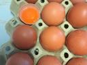 Farm Eggs