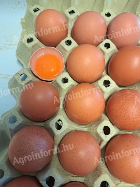 Farm Eggs