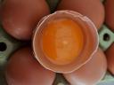 Farm Eggs
