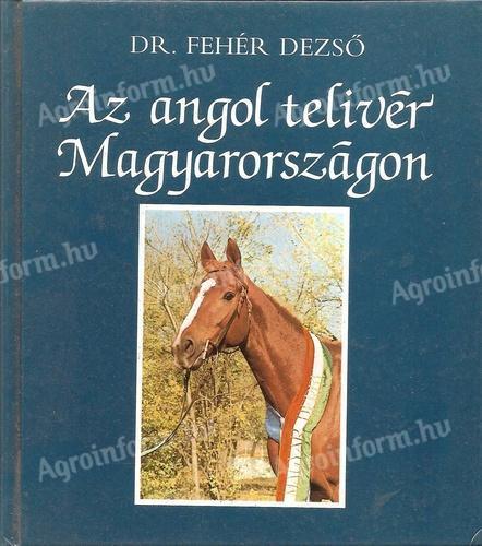 The English thoroughbred in Hungary (horse book)