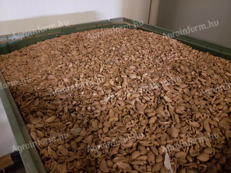 Almond shells for sale