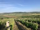 Podgorie de vânzare în regiunea viticolă Tokaj