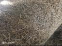 2024 hay and lucerne bales for sale