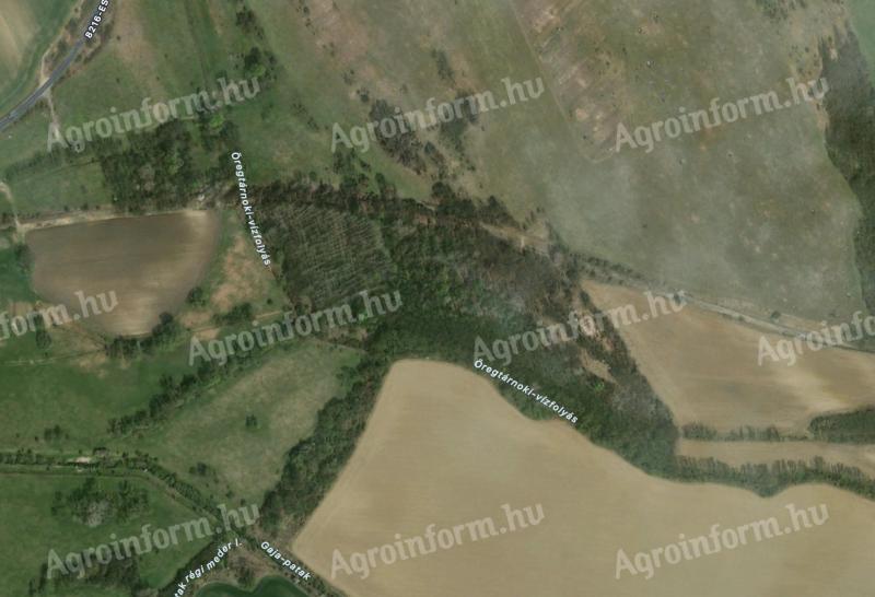 5,22 ha de pădure de vânzare în afara Bodajk