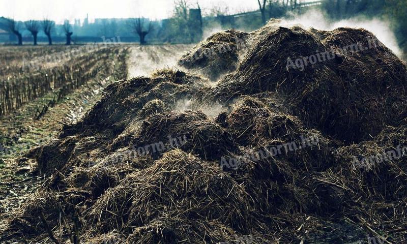 Mature cattle manure for sale in Debrecen, in 40 kg bags