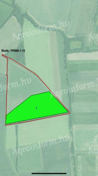 6 ха обрадивог земљишта на продају у Фехергиармат, округ Саболч-Сатмар-Берег