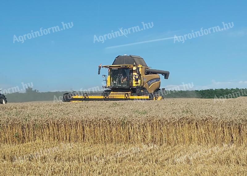 Tražimo voditelja biljne proizvodnje