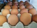 Fresh farm eggs