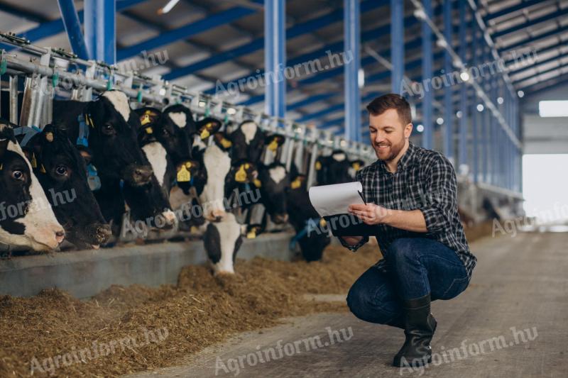 Wir suchen einen Rinderfarmleiter