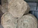 Round baled grass hay, green dried hay 2024