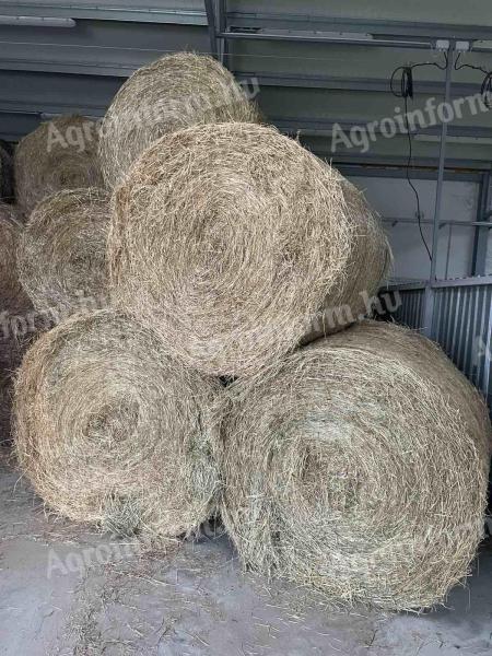 Round baled grass hay, green dried hay 2024