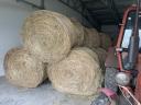 Round baled grass hay, green dried hay 2024