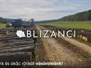 BLIZANCI Ltd. ar dori să cumpere bușteni de stejar, frasin, salcâm și nuc negru