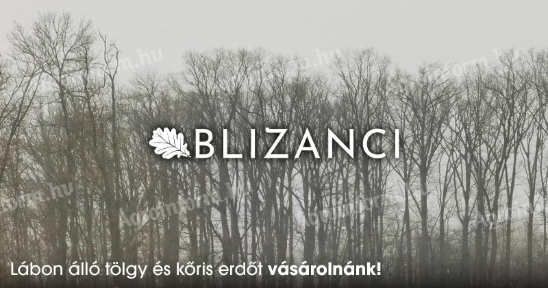 BLIZANCI Kft. by kúpila stojaci dubový les