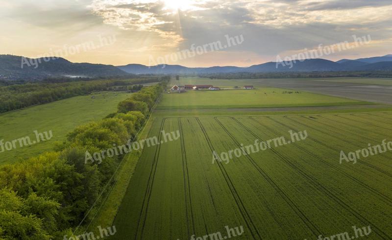 Agrármérnök állás Pest megyében