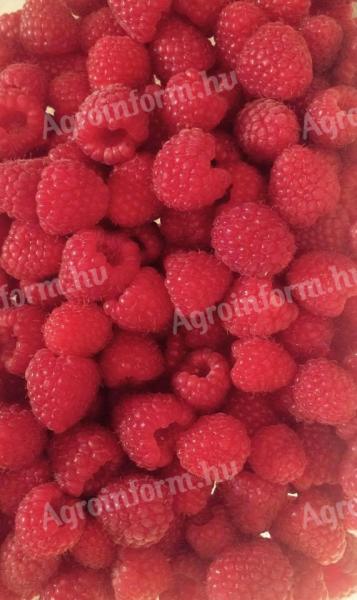 Raspberry