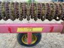 Vaderstad Rollex 620