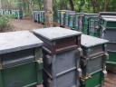 40 družinskih čebelnjakov za prodajo