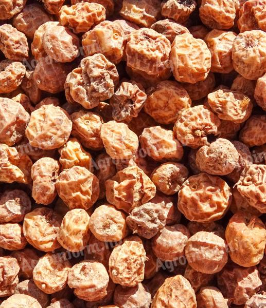 Tigernut 8-12 mm Standard Prodaje se pouzećem