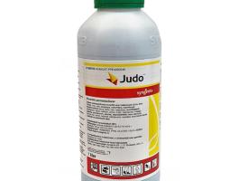 Judo