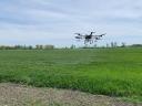 Drone spraying, foliar fertilizer application, plant protection