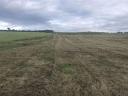 Pasture for sale 16,5 ha