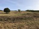 Pasture for sale 16,5 ha