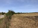 Pasture for sale 16,5 ha