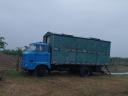 IFA w50 l