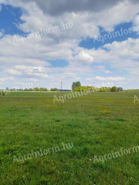 18 hectares of pasture and plough for sale along a stream