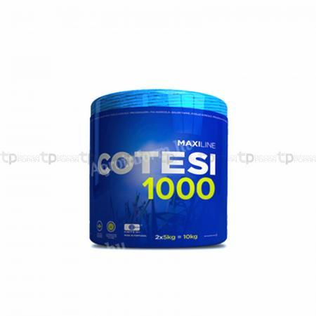 Pressengarn Cotesi 1000