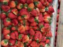 Free range strawberries