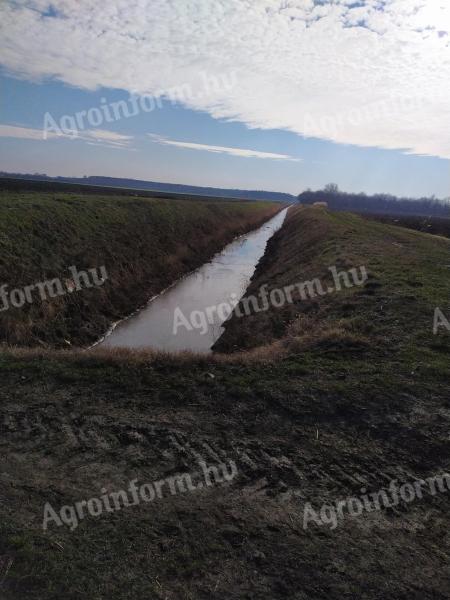 Mezőhegyes rubno poljoprivredno zemljište na prodaju 2798 ha 105,2 ac