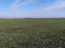 Mezőhegyes rubno poljoprivredno zemljište na prodaju 2798 ha 105,2 ac