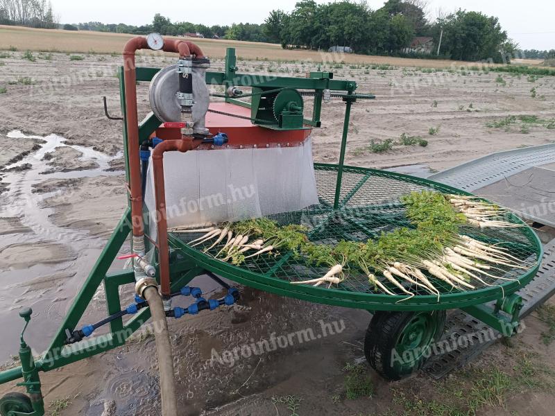 Vegetable washing