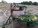 Vegetable washing